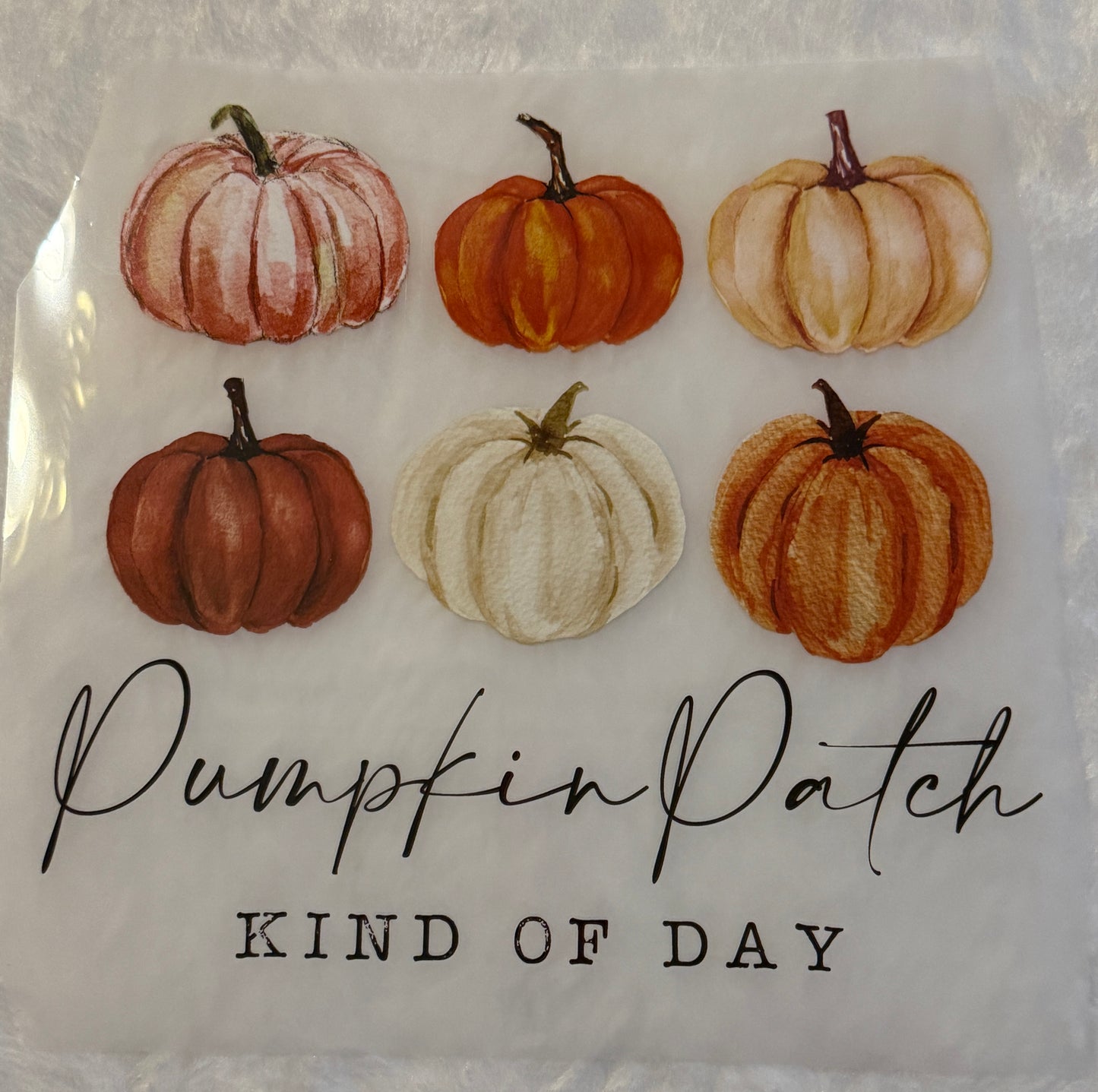 Pumpkin Patch