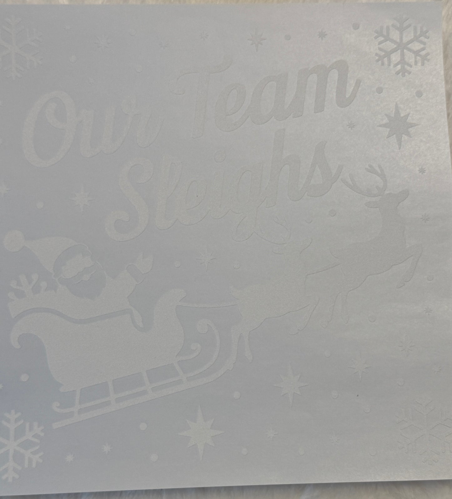 Our Team Sleighs