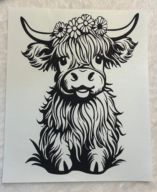 Highland Cow