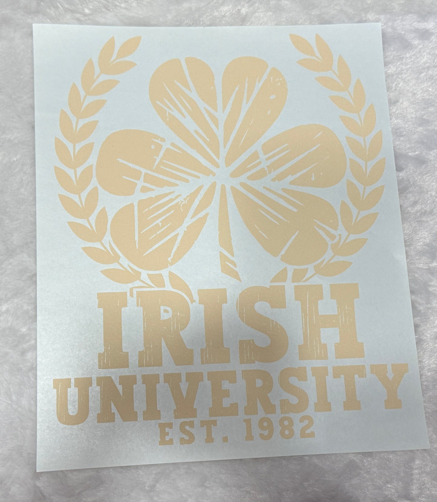 Irish University