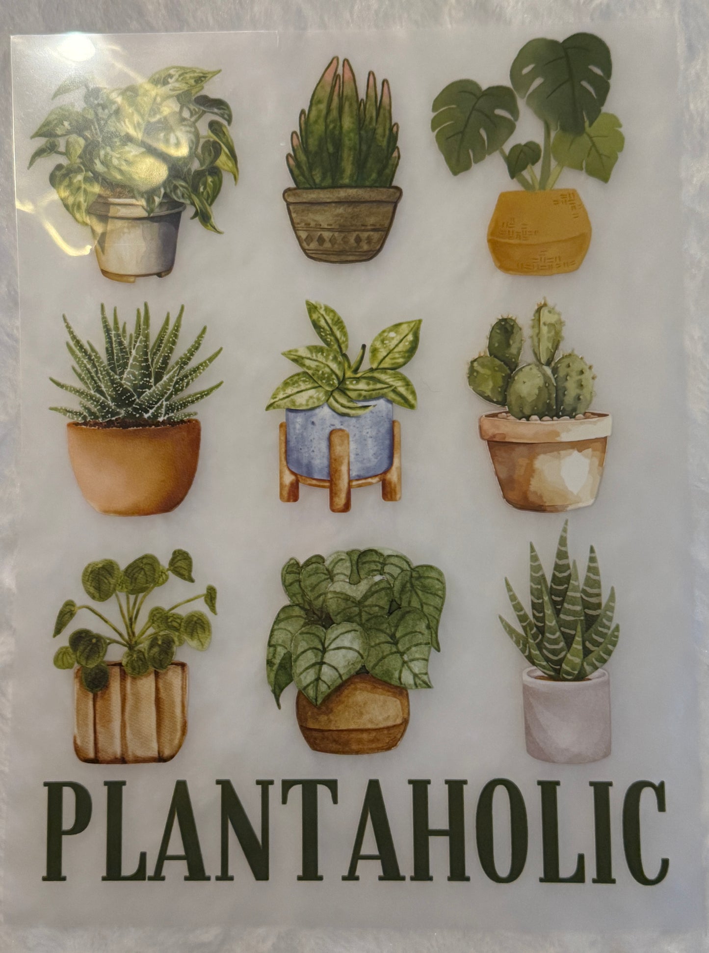 Plantaholic